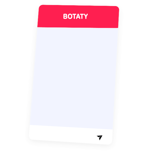 Botaty chatbots developers